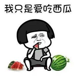 吃瓜娱乐圈素材