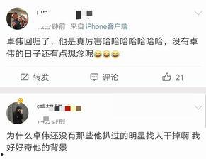娱乐吃瓜吕小布微博,揭秘娱乐圈幕后故事
