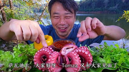 娱乐吃瓜酱章鱼视频,娱乐吃瓜酱独家视频解析