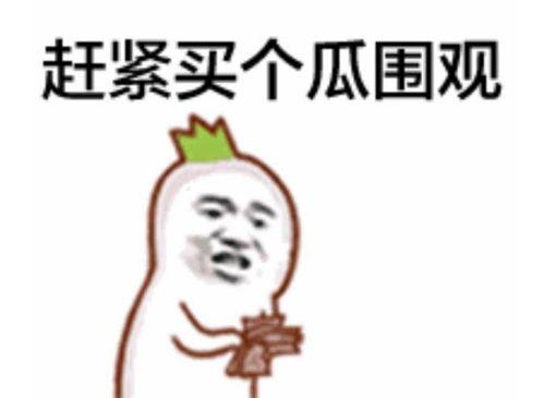 娱乐圈吃瓜群众心态崩溃,吃瓜群众心态崩溃，揭秘幕后真相