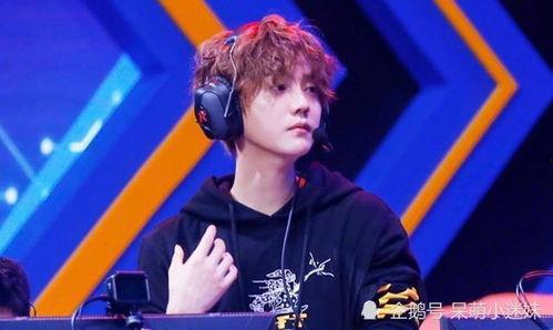 吃瓜娱乐圈鹿晗,娱乐圈的瓜田，他的成长与蜕变