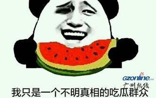 表情包里面吃瓜是什么意思,揭秘网络表情包中的“吃瓜”文化内涵
