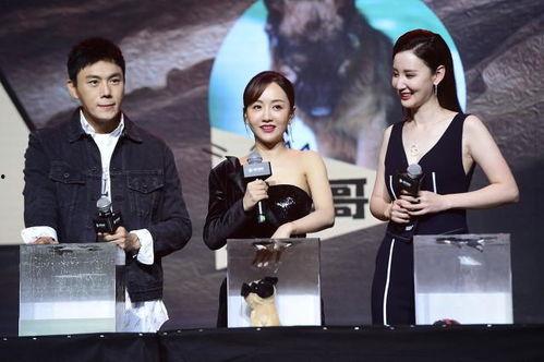 我在娱乐圈靠吃瓜爆红了,娱乐圈红人崛起记