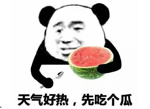 吃瓜表情包回复怎么说好听,幽默风趣的社交新宠