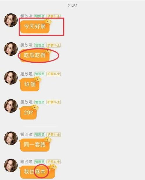 娱乐圈吃瓜文件怎么取